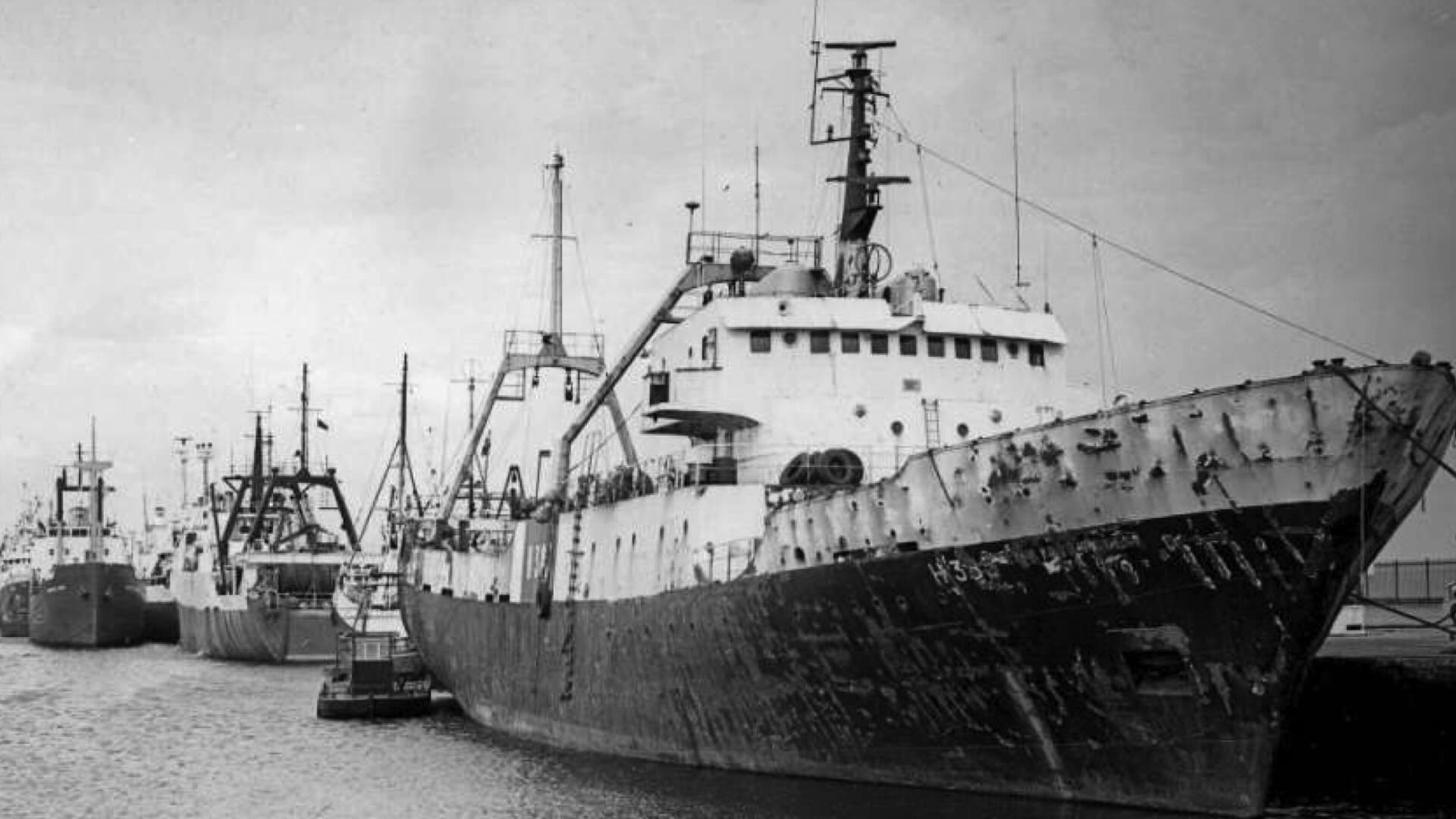 With our local home delivery service you can stay at home and we will deliver fresh, frozen fish and seafoods to your door, so you can make easy and nutritious meals to add important vitamins and minerals to your diet.