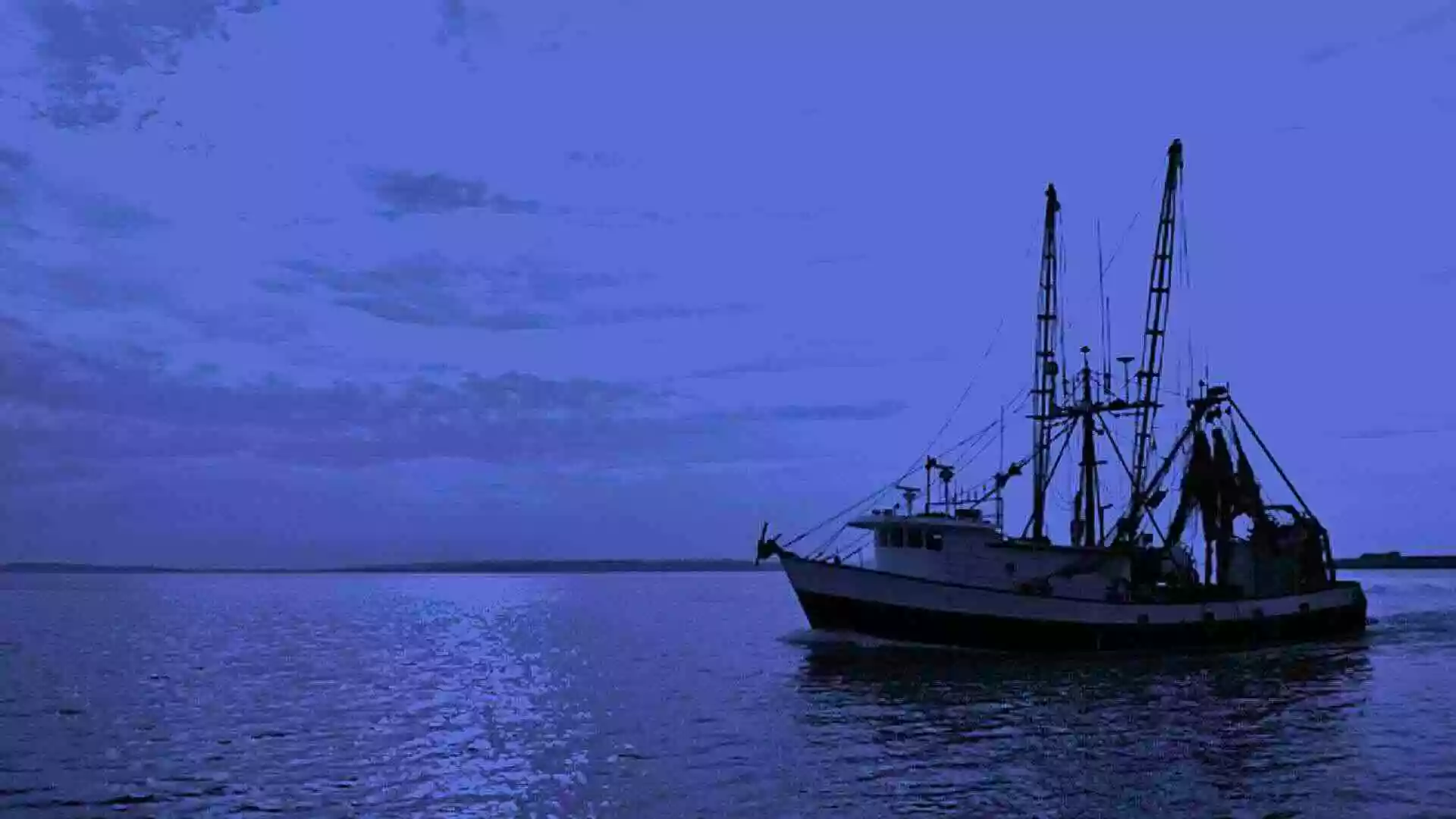 Get your fresh fish from Lill Brothers of Bradford established 1855 wholesale fish merchants, one of the oldest trading businesses in Bradford.